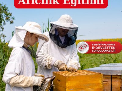 Arıcılık Eğitimi