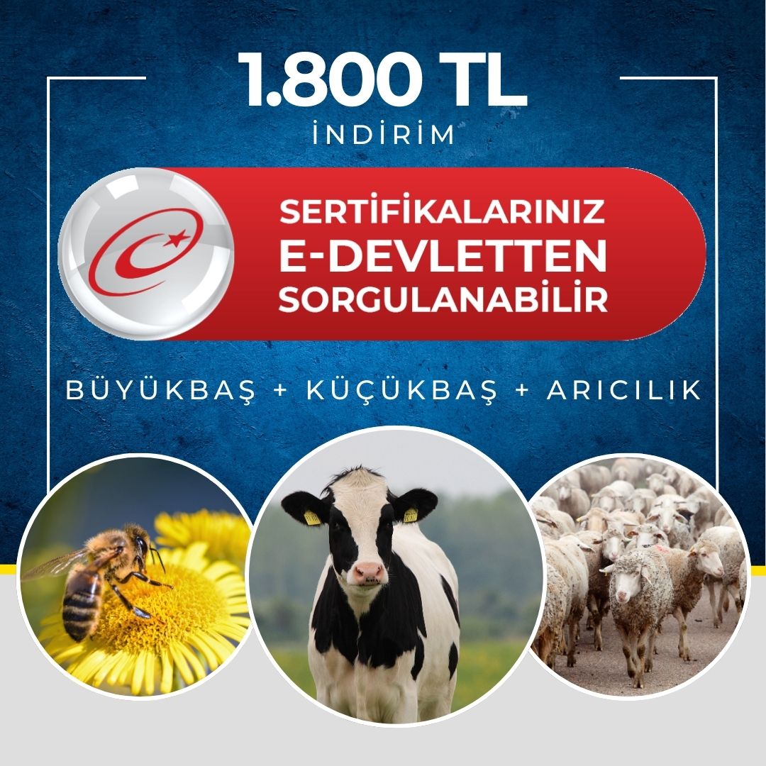 1800