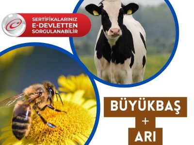2’li Eğitim Paketi Büyükbaş + Arıcılık Eğitimi