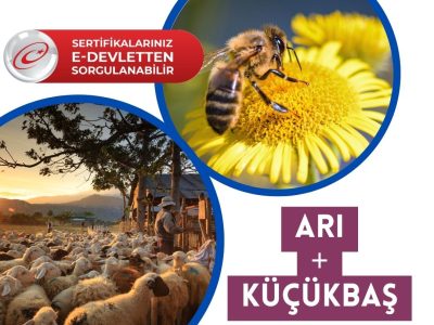 arı küçükbaş 2’li Eğitim Paketi Arı + Küçükbaş Eğitimi