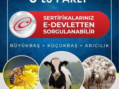 3’lü Eğitim Paketi