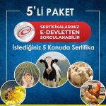 5’li Eğitim Paketi