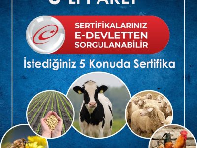 5’li Eğitim Paketi